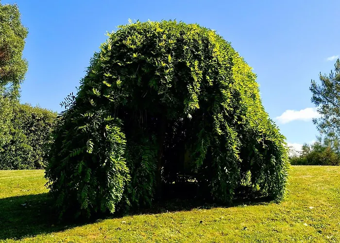 Le Domaine Des Roseraies- Les Roseraies By Interhome Semesterbostad